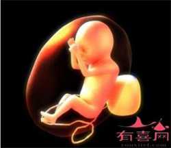 石家庄代生一个孩子多少钱，沈阳盛京试管婴儿哪个大夫好一些？