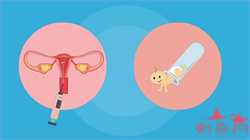石家庄有代怀小孩的么，支原体感染对生育的影响，怎么做试管婴儿