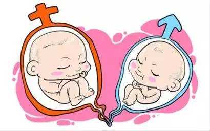 石家庄借卵代怀包生男孩，试管配好的胚胎可以看出男女吗(试管可以选择婴儿