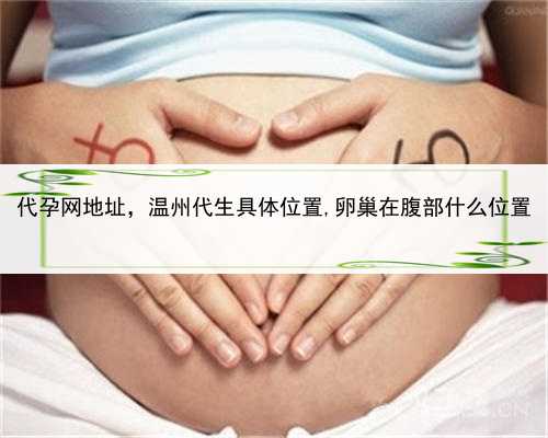 代孕网地址，温州代生具体位置,卵巢在腹部什么位置