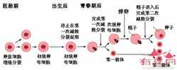 北京正规的供卵中心,【正规的供卵中心】已成功好孕，科学的备孕跟好的心态