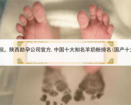 哪里有代孕的医院，陕西助孕公司官方,中国十大知名羊奶粉排名(国产十大羊奶