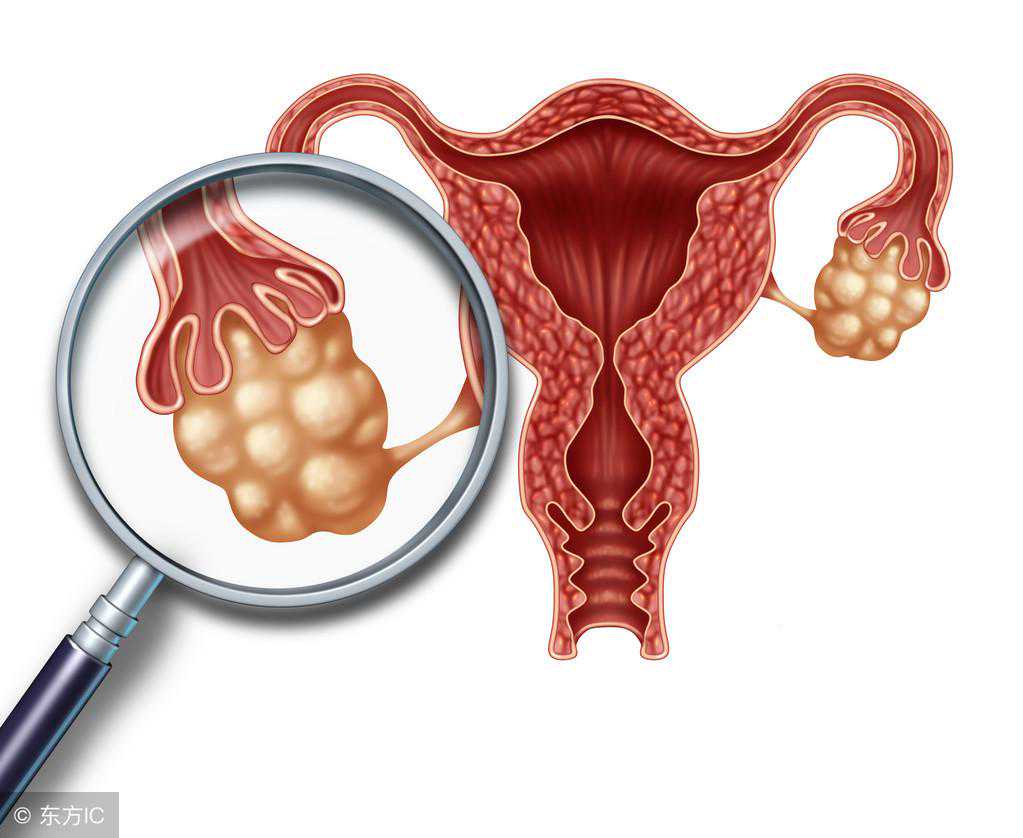 未孕女性黄体期孕酮的正常值是多少？每个阶段都会出现变化
