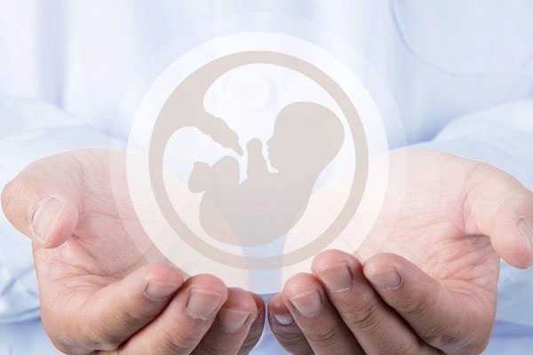 2021石家庄代孕价钱,石家庄第四医院三代试管婴儿生男孩价格要多少钱？