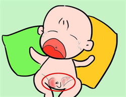 哈尔滨有供卵中心吗，哈尔滨新生儿医保报销比例是多少
