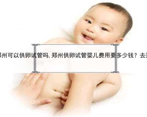 农村女人代孕，郑州可以供卵试管吗,郑州供卵试管婴儿费用要多少钱？去郑州