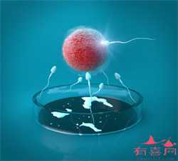 郑州知名供卵试管生子,2023年郑州一附院供卵试管婴儿成功率是多少？