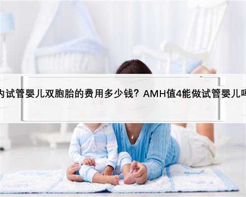 国内试管婴儿双胞胎的费用多少钱？AMH值4能做试管婴儿吗？