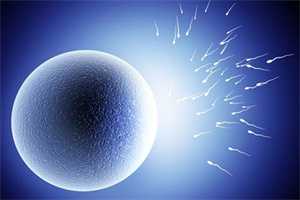 佛山有几家医院供卵,2023佛山有做三代供卵生子试管的医院吗