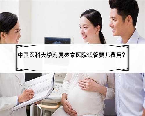 中国医科大学附属盛京医院试管婴儿费用？