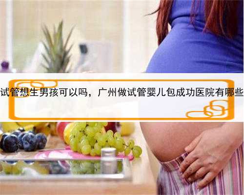 代孕哪家更靠谱，广州试管想生男孩可以吗，广州做试管婴儿包成功医院有哪些